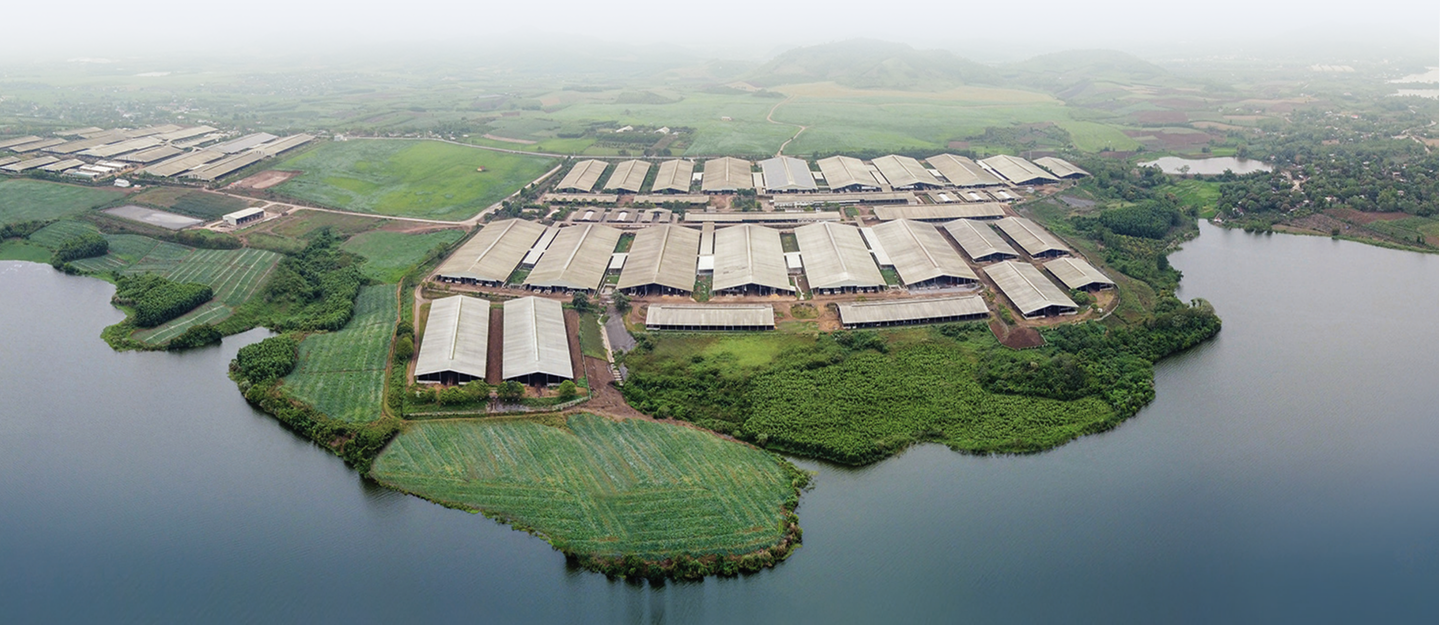 Hình ảnh tổng quan về trang trại