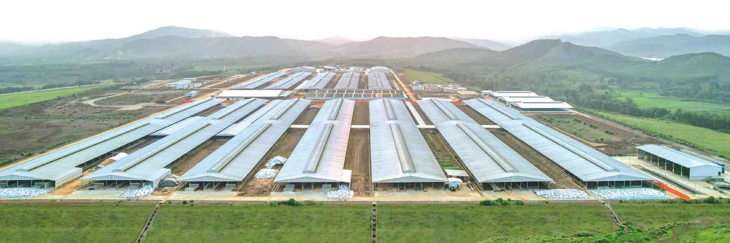 Hình ảnh tổng quan về trang trại