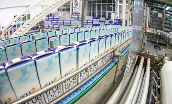 Hình ảnh nhà máy