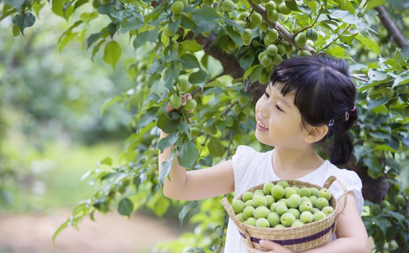 Cùng bé du lịch và tìm hiểu thực phẩm có từ đâu?