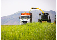 Production of large-scale high-tech applications: Golden Key promotes Vietnam agricultural sustainable development