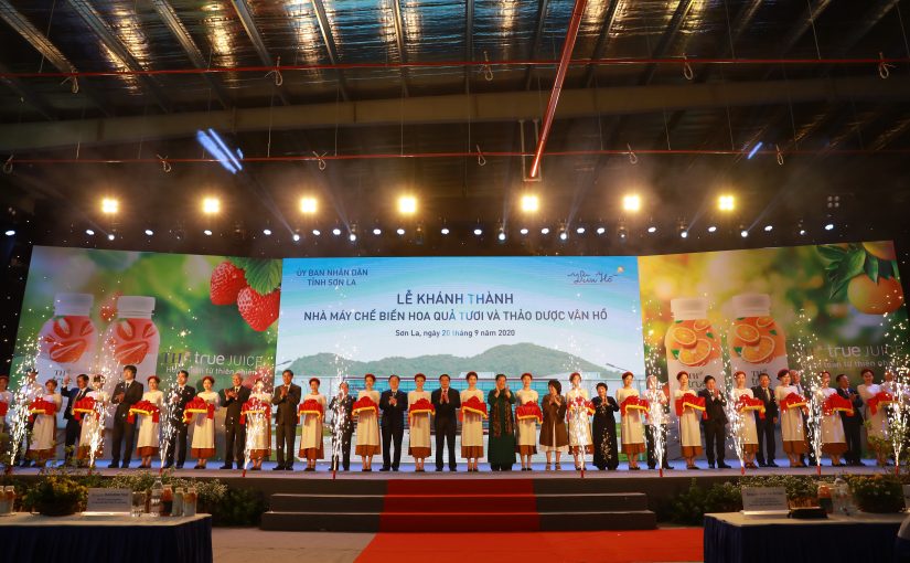 TH Group operating Van Ho Factory for processing fresh fruit and pharmaceutical products – Son La