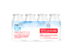 Sữa Uống Lên Men hương dâu tự nhiên TH true YOGURT Probiotics