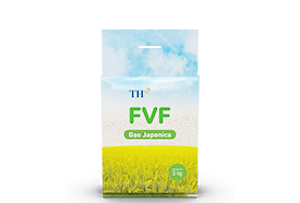 Gạo JAPONICA FVF 5 Kg