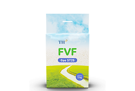 Gạo ST25 FVF 5Kg